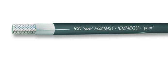 FG21M21